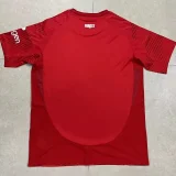 24-25 Nottingham Forest Home Fans Soccer Jersey (带广告)
