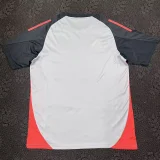 24-25 Benfica Grey Training Shirts