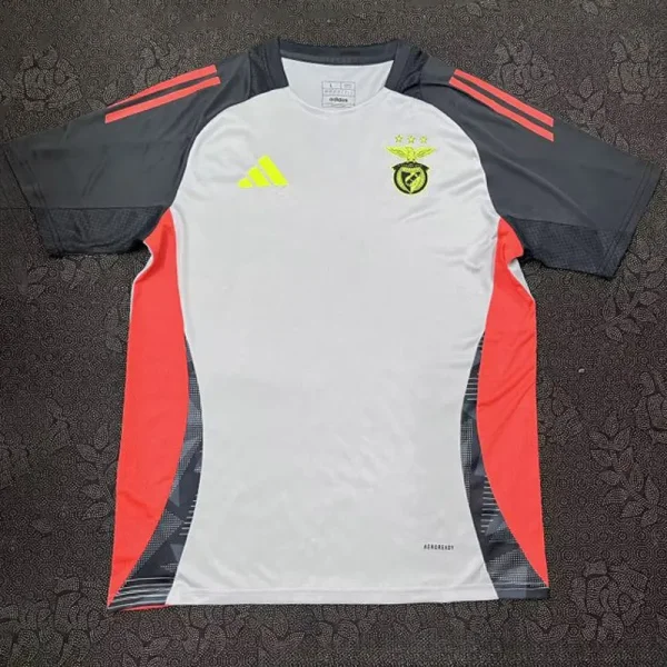 24-25 Benfica Grey Training Shirts