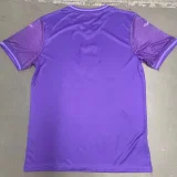 24-25 RSC Anderlecht Home Fans Soccer Jersey