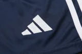 2024 AD Royal blue Training Short Suit
