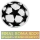 UCL +Final Roma 2009 (欧冠球+胸前决赛字)