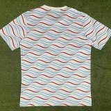 24-25 River Plate Grey Blue Training Shirts