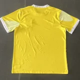 24-25 Brazil Special Edition Training Soccer Jersey *城市版
