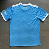 21-22 Napoli Sky blue Commemorative Edition Fans Soccer Jersey