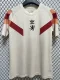 24-25 Lyon Special Edition Training shirts