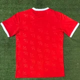 24-25 Bayern Red Casual style Fans Training shirts