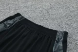 2024 AD Grey Training Short Suit