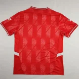 2024-25 Palestina FC Red Fans Soccer Jersey *Kelme