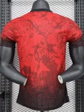 25-26 LIV Red Special Edition Player Version Training shirts