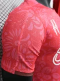 2024-25 Palestina FC Pink Player Version Training shirts