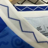 24-25 BaHia Commemorative Edition Fans Soccer Jersey