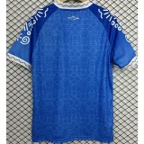 24-25 BaHia Commemorative Edition Fans Soccer Jersey