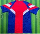 24-25 ARS Red Blue Special Edition Fans Training shirts