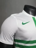 2012 Portugal Away Player Version 员 Retro soccer jersey