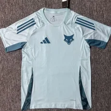 25-26 Cruzeiro Blue Green Training Shirts