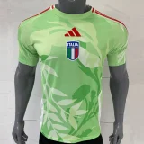 25-26 Italy Grey Special Edition Fans Soccer Jersey