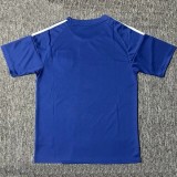 25-26 Japan Blue Special Edition Fans Soccer Jersey *赛亚人