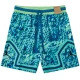 C2450 Jordan Green Casual Short Pants