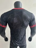 25-26 Japan Special Edition Player Version Soccer Jersey