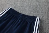 2025 AD Royal blue Jacket Tracksuit #2313