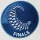 FINALS(纪念章)右袖