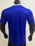 2025 AD Casual Blue Player Version Training shirts *三叶草
