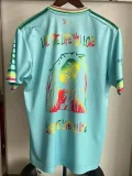 24-25 Ajax Light Green Special Edition Fans Soccer Jersey *浅绿
