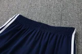 25-26 Italy Royal blue Training short Suit