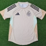 25-26 Algeria Khaki Player Version Training shirts #A38卡其