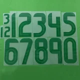 25-26 Algeria Light Green Player Version Training Shirts #A38淡绿