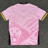 25-26 Cameroon Pink Fans Soccer Jersey