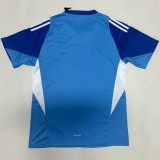 2025-26 JUV Blue Goalkeeper Soccer Jersey