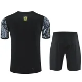 2025-26 Brazil Grey Training Short Suit