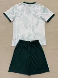 2025-26 lreland W Away Kids Soccer Jersey