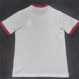 2025-26 Benfca White Anniversary Edition Training shirts