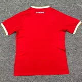 2025-26 Panama Home Fans Soccer Jersey