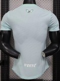 2025-26 Algeria Light green Player Version Training shirts (白标)