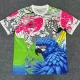 2025-26 Brazil Pink Blue Special Edition Training shirts