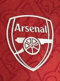 2025-26 ARS Red Special Edition Player Version Training shirts (三叶)