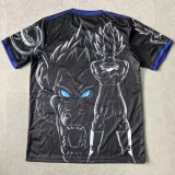 25-26 Japan Special Edition Fans Soccer Jersey (贝吉塔)