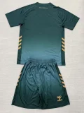 25-26 Werder Bremen Third Fans Soccer Jersey