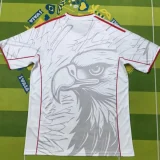 25-26 Benfca Special Edition white Training shirts