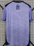 25-26 Botafogo Purple Training Shirts