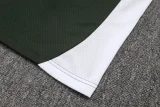 25-26 Bayern Army green Polo Tracksuit #C2533