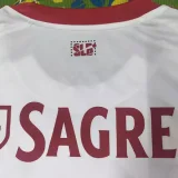 25-26 Benfca Third Fans Soccer Jersey