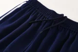 2025 AD Fancy blue Jacket Tracksuit #AJ23