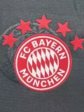 25-26 Bayern Grey Casual Player Version Soccer Jersey