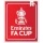 FA CUP (英足总杯2次)