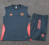 2025-26 Bayern Dark gray Tank top and shorts suit #D25142